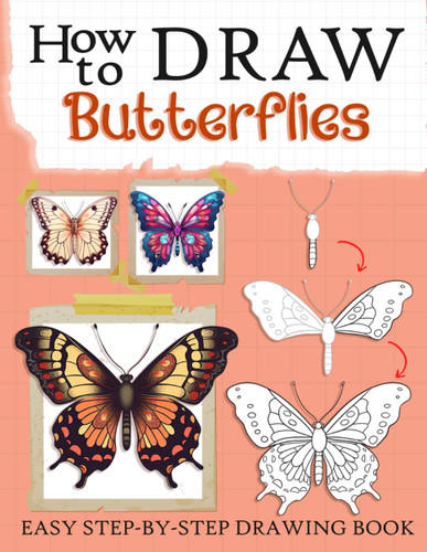 How to Draw Butterflies: Learn to Draw Butterflies Step by Step