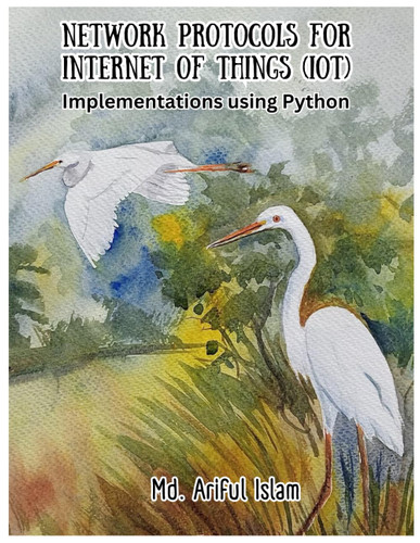 Network Protocols for Internet of Things