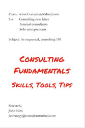 Consulting Fundamentals: Skills tools and tips