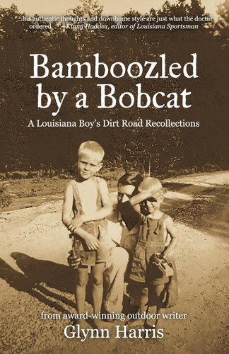 Bamboozled by a Bobcat