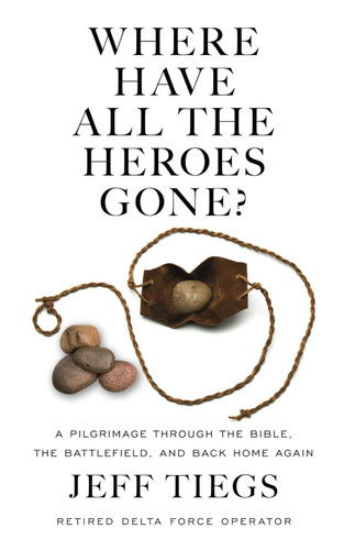Where Have All the Heroes Gone?: A Pilgrimage Through the Bible the