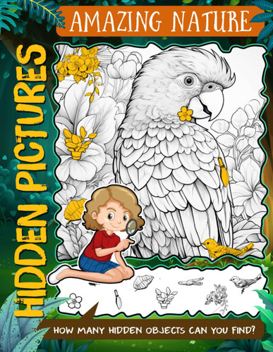 Amazing Nature Hidden Pictures Book