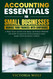 Accounting Essentials for Small Businesses