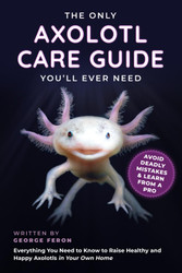 The Only Axolotl Care Guide You'll Ever Need