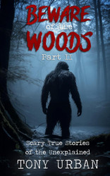 Beware of the Woods Part II
