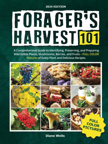 Forager's Harvest 101