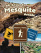 All Around Mesquite Nevada: History Trails & Destinations