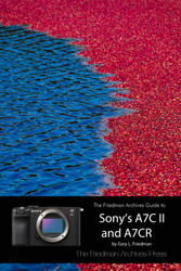 The Friedman Archives Guide to Sony's A7C II and A7CR