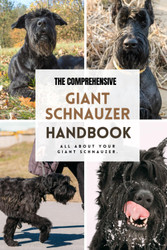 The Comprehensive Giant Schnauzer Handbook: All about your Giant