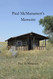 Paul McManamen's Memoir