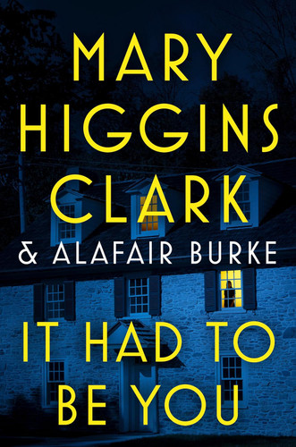 It Had to Be You (An Under Suspicion Novel)
