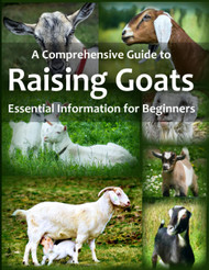 A Comprehensive Guide to Raising Goats: Essential Information for