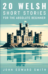 20 Welsh Short Stories For the Absolute Beginner: English and Welsh