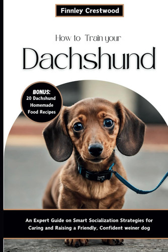 How To Train Your Dachshund