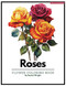 Roses Flower Coloring Book: Adult Coloring Book for Art Therapy 40