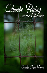 Cobwebs Flying: in the Autumn