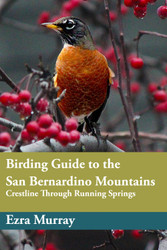 Birding Guide to the San Bernardino Mountains: Crestline to Running