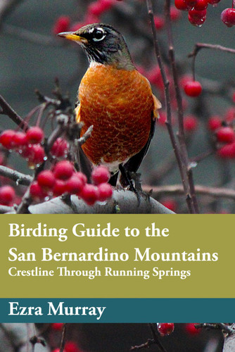 Birding Guide to the San Bernardino Mountains: Crestline to Running
