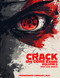 CRACK THE CORE EXAM - VOLUME 1: (2024)