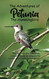 The Adventures of Petunia the Hummingbird