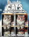 The Ultimate Spot the Difference for Adults - Cats: Cat Puzzle Book