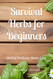Survival Herbs for Beginners: Herbal Medicine Made Easy
