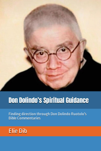 Don Dolindo's Spiritual Guidance: Finding direction through Don