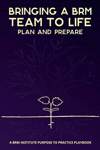Bringing a BRM Team to Life: Plan and Prepare