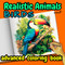 Birds Coloring Book for Adults Relaxation Advanced Adult Nature