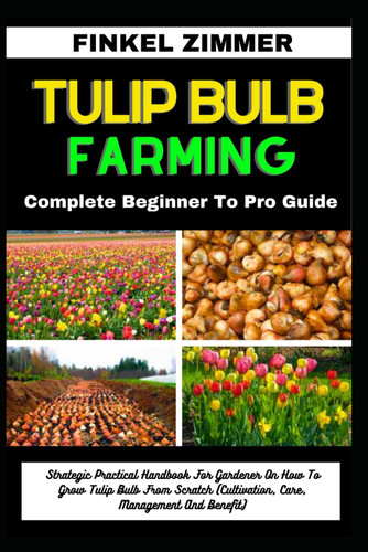Tulip Bulb Farming: Complete Beginner to Pro Guide: Strategic