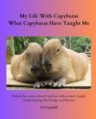 My Life With Capybaras What Capybaras Have Taught Me