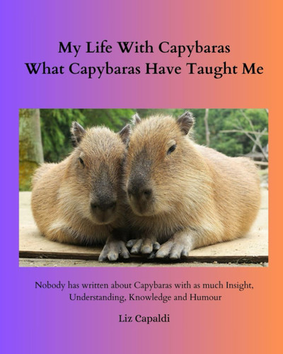 My Life With Capybaras What Capybaras Have Taught Me