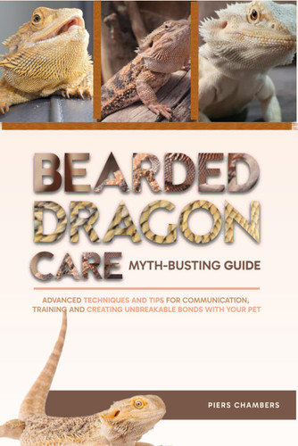 Bearded Dragon Care Myth-Busting Guide