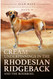 Cream Underpinnings In The Rhodesian Ridgeback And the Boerboel -