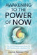 Awakening to The Power of Now: The Self Enlightenment Book for Self