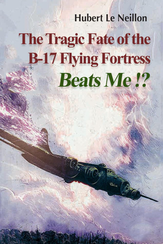 The Tragic fate of the B-17 Flying Fortress BEATS ME!?