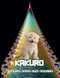 Kakuro Puzzle Book For Adults: 3 Levels Of Difficulty