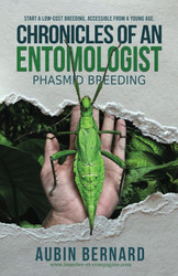 Chronicles of an Entomologist - Phasmid Breeding