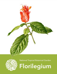 National Tropical Botanical Garden Florilegium