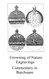 The Crowning of Nature Engravings (Alchemy translations)