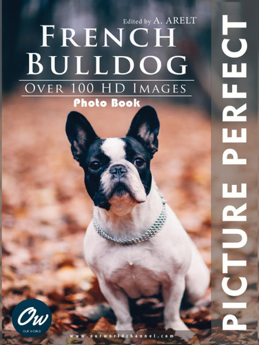 French Bulldog: Picture Perfect Photo Book