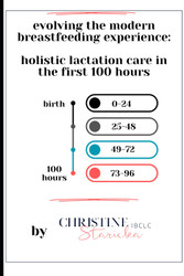 Evolving the Modern Breastfeeding Experience: Holistic Lactation Care