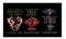 Once Upon a Broken Heart Trilogy Three Book Collection Set By