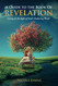 A Guide To The Book Of Revelation: Living in the light of God's