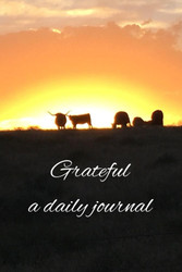 Gratitude: a daily journal