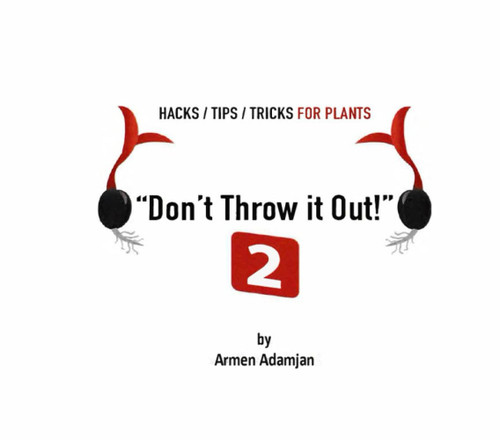 Official Don't Throw it Out Book 2 Don't Throw it Out 2! Paper