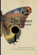 The Power of the Feminine I: poems from the feminine perspective