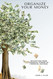 Organize Your Money: Navigating From Financial Stress To Financial
