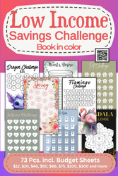 Low Income Savings Challenge Book Colorful