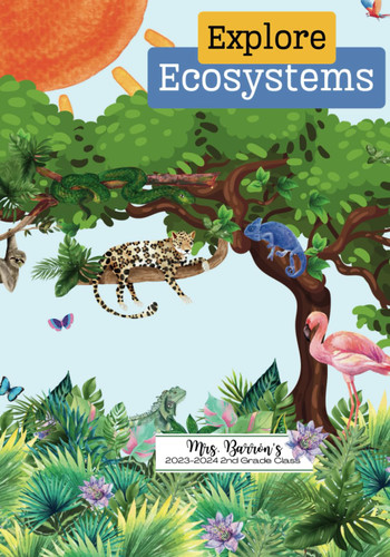 Explore Ecosystems: A Second Grade Science Project